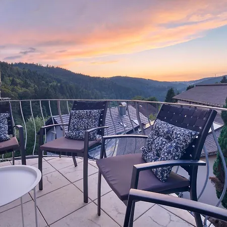 Apartment Penthouse Mit Aussicht Ueber Den Wald