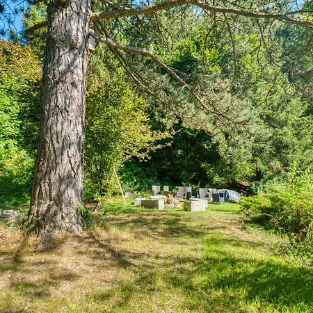 Penthouse Mit Aussicht Ueber Den Wald Apartment