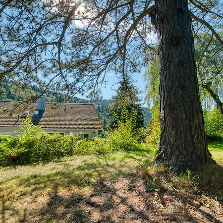 Penthouse Mit Aussicht Ueber Den Wald Triberg im Schwarzwald