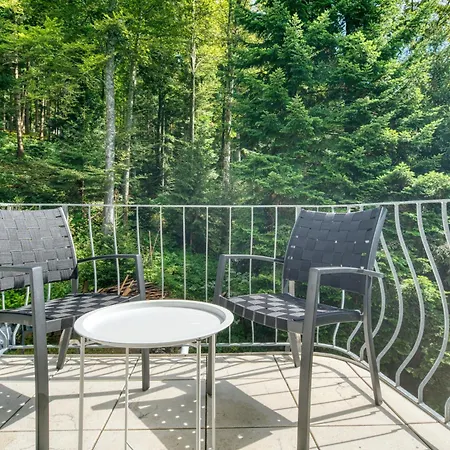 Penthouse Mit Aussicht Ueber Den Wald Apartment