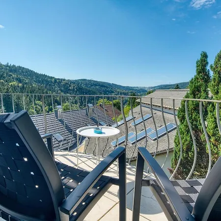 Apartment Penthouse Mit Aussicht Ueber Den Wald