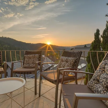 Penthouse Mit Aussicht Ueber Den Wald Apartment *